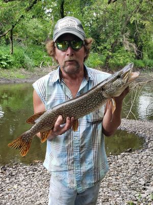 Photo of Terry L. Peterson