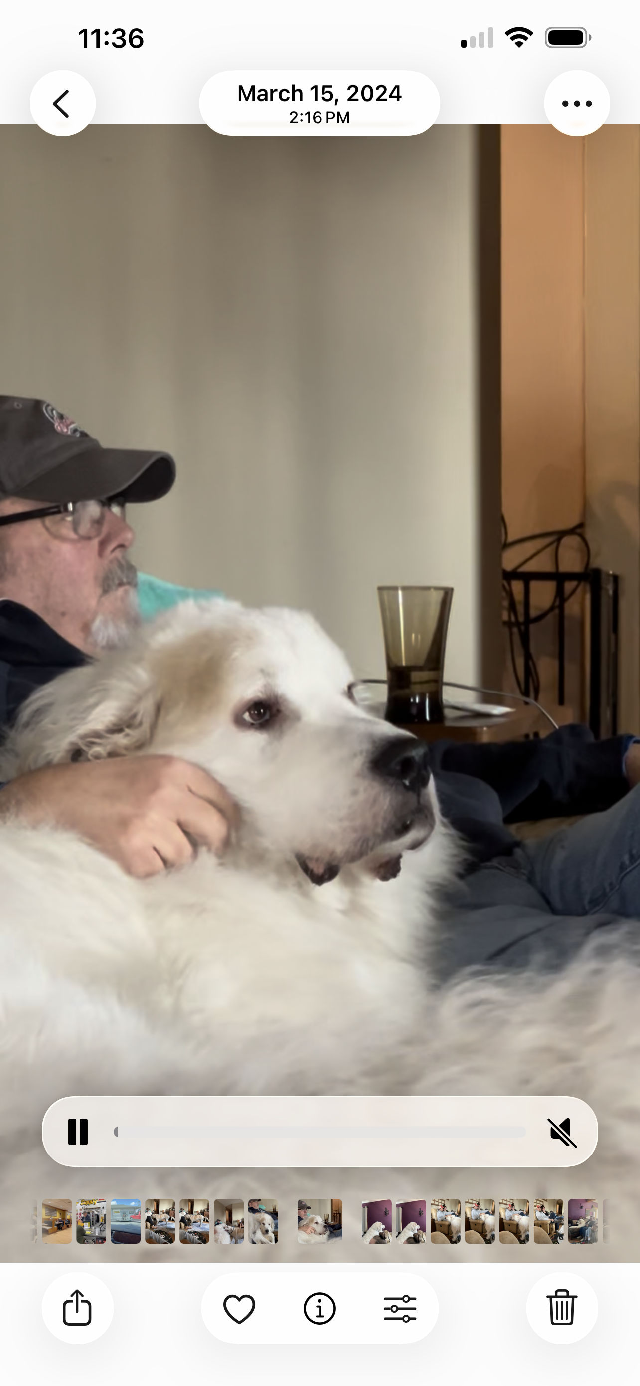 Memory of John Lloyd