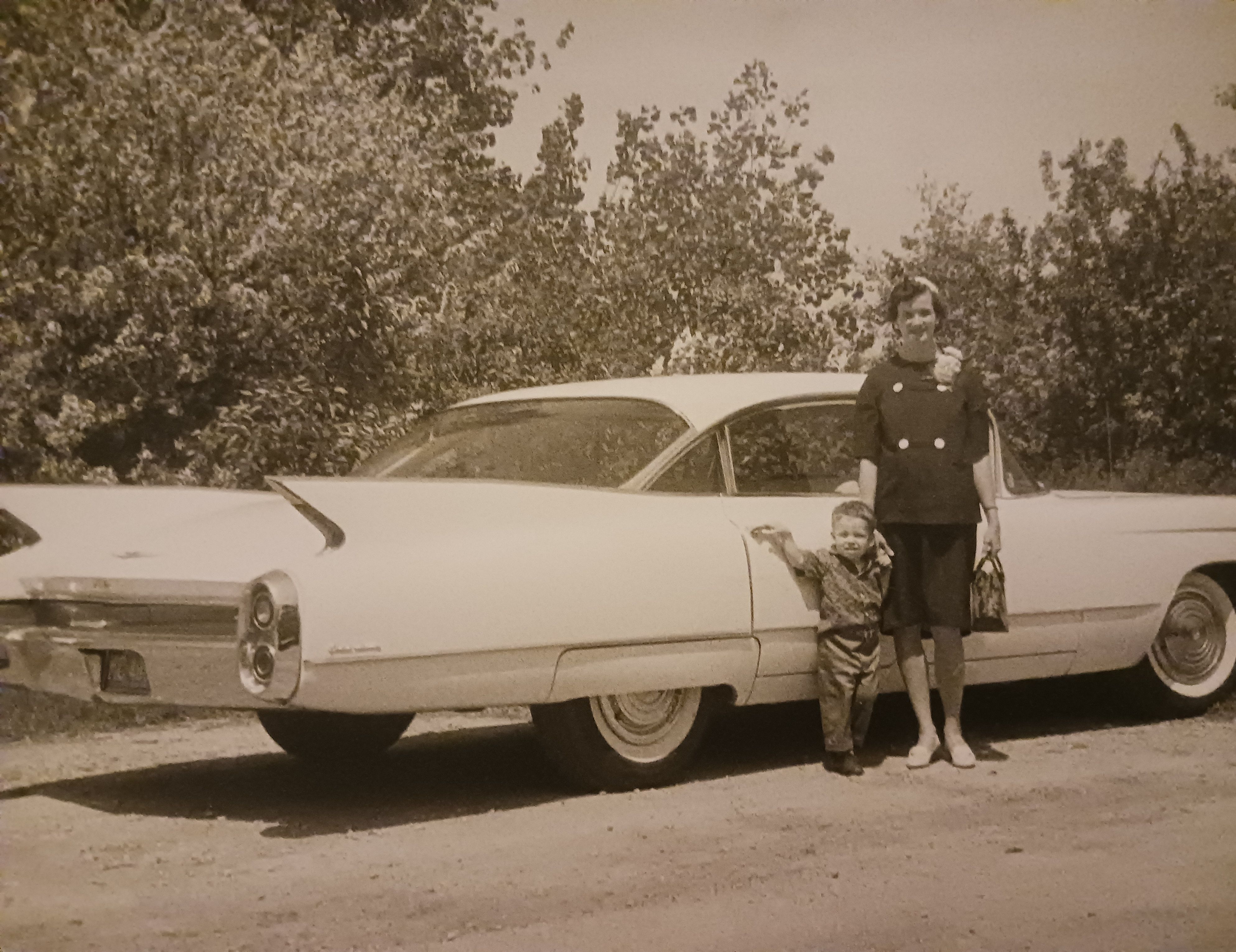 Memory of Ilse Seplak