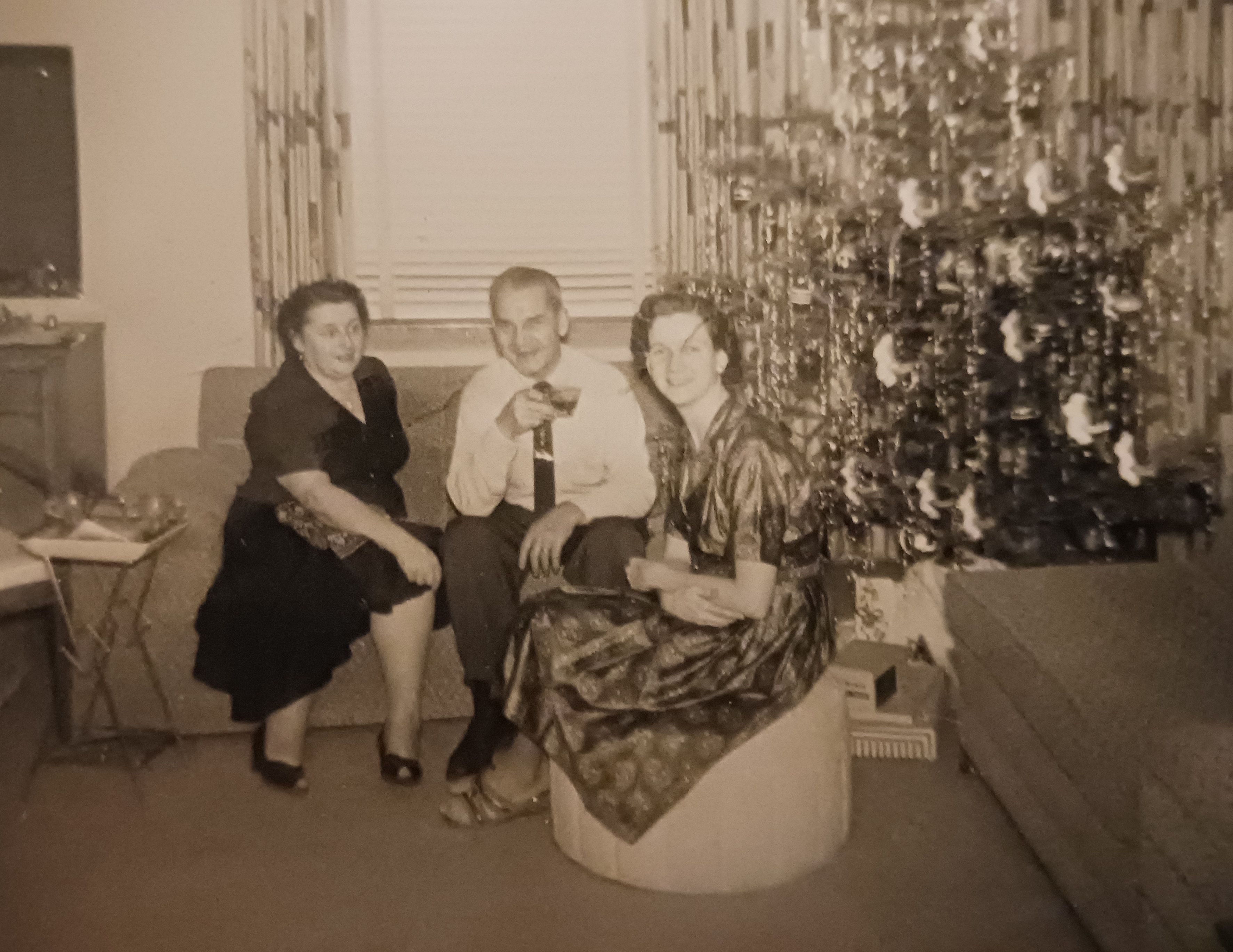 Memory of Ilse Seplak